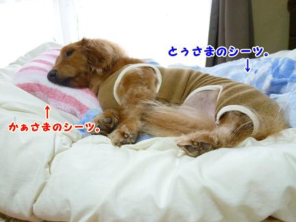 いつでもぐうたら♪