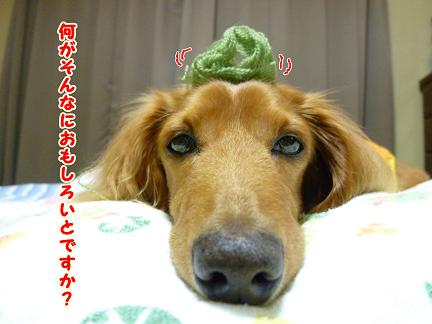 引越し準備中のはず？