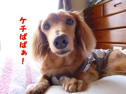 あちゃる・・・しこりができた。