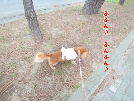 散歩道♪