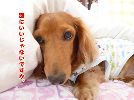 あちゃるの日曜日。