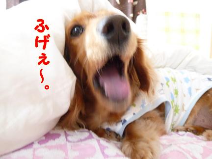 あちゃるの日曜日。