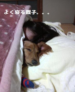 湯たんぽちゃん♪