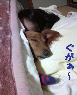 湯たんぽちゃん♪