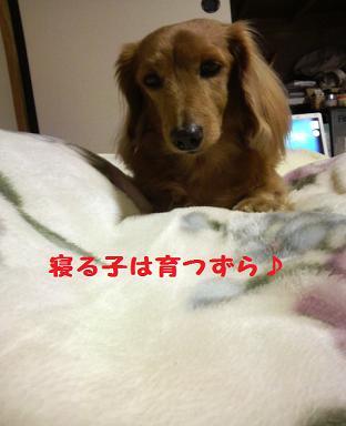 湯たんぽちゃん♪