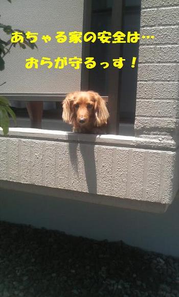 隙間からこんちわ。