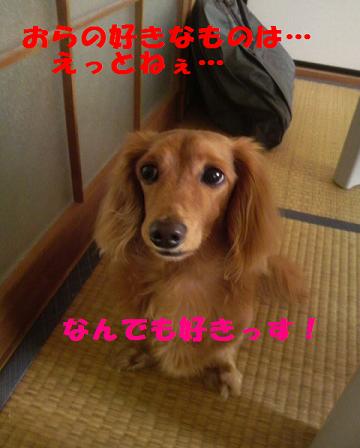 梅雨入り♪