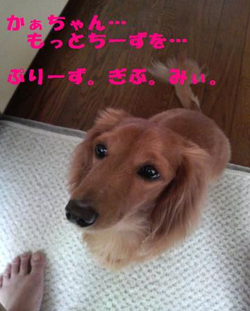 梅雨入り♪