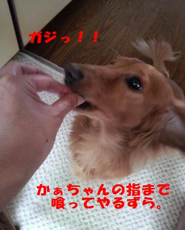 梅雨入り♪