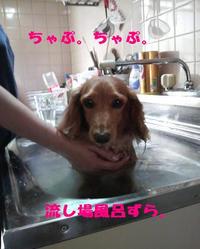 沐浴♪ 2010/06/15 19:51:59