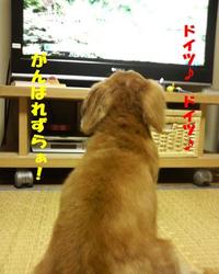 最近は・・・ 2010/07/06 19:52:23