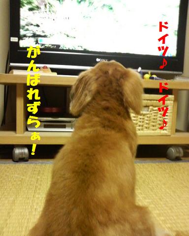 最近は・・・