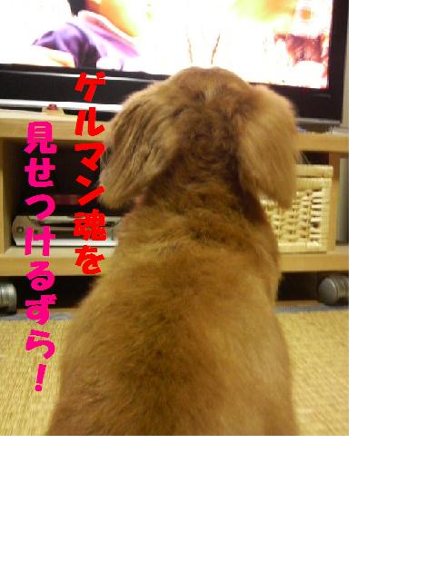最近は・・・