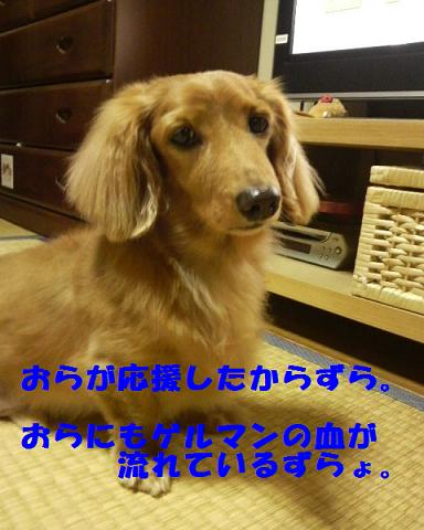 最近は・・・