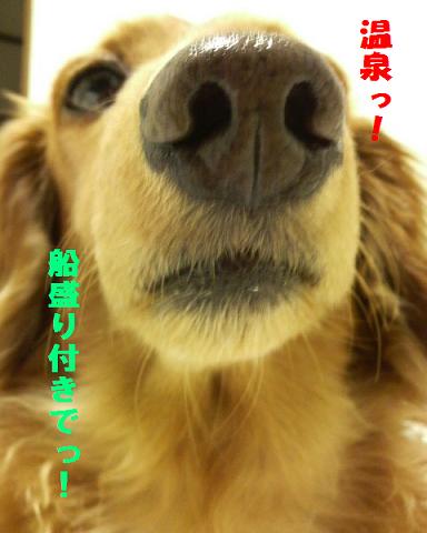 世間では・・・