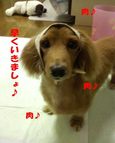 世間では・・・