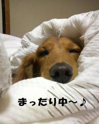 夏ですね。 2010/08/02 17:49:45