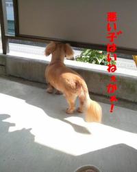 昨日のお話♪ 2010/08/03 20:09:48