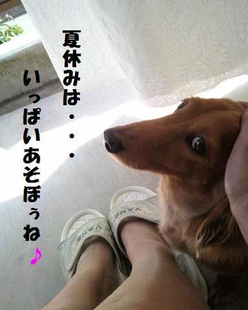 昨日のお話♪
