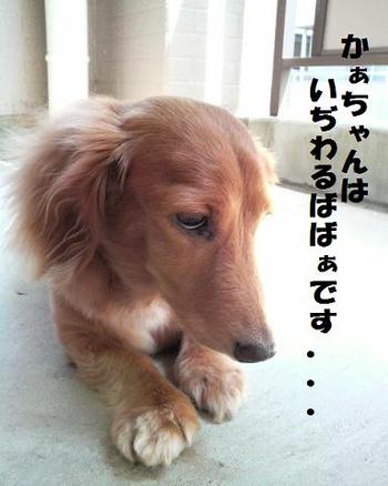 昨日のお話♪