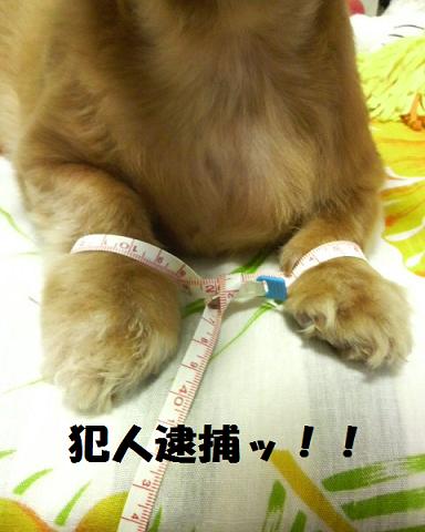 ＴＰ惨殺事件・・・