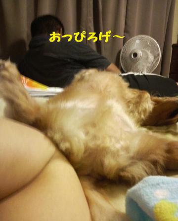うなされた午後♪