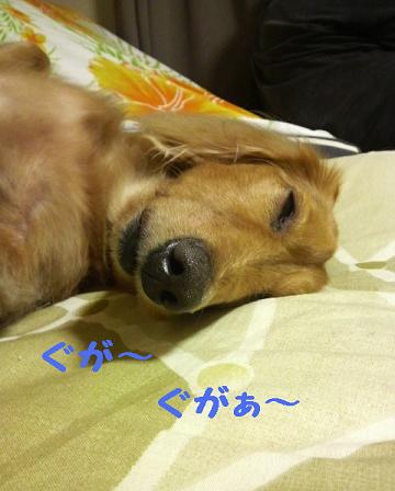 うなされた午後♪