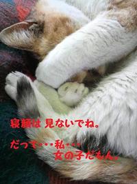 いろんな寝方♪ 2010/09/28 20:08:13