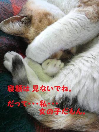 いろんな寝方♪
