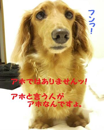 いろんな寝方♪