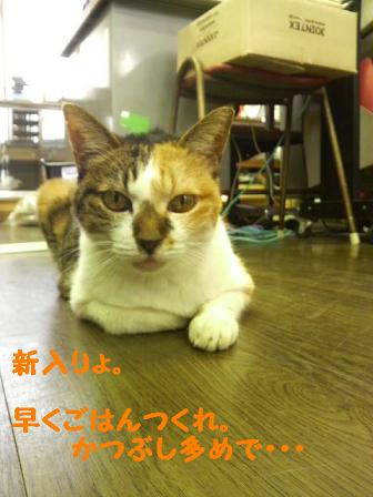 いろんな寝方♪