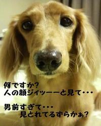 困ってます・・・ 2010/09/29 19:34:23