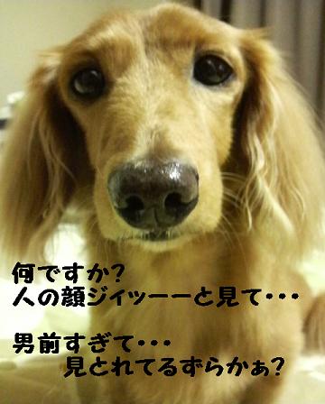 困ってます・・・
