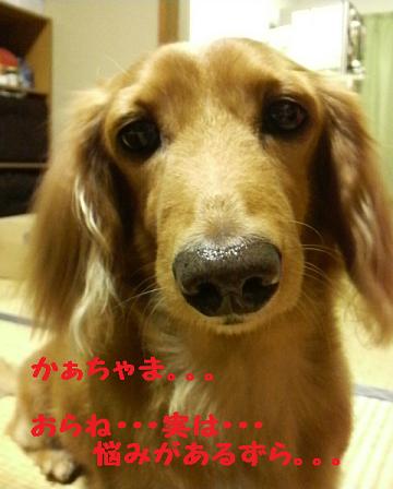 困ってます・・・