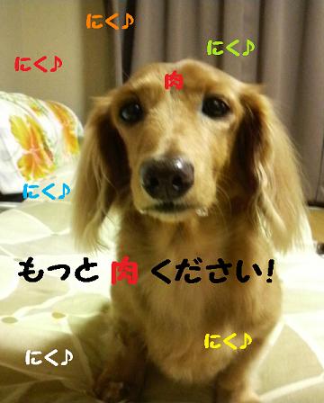 困ってます・・・
