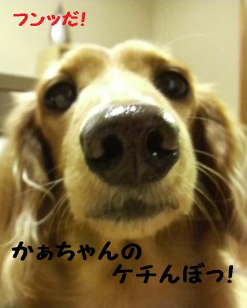 困ってます・・・