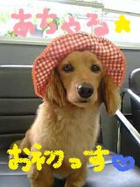 あちゃる君始めました。 2009/08/26 15:57:22