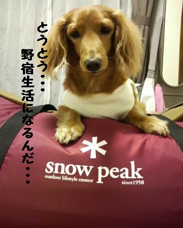 キャンプの準備♪その２