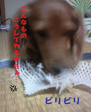 リンゴといえば・・・