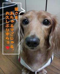 あちゃる再び。 2009/10/20 20:51:58