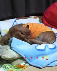 初仕事行ってきた。。。 2009/10/21 20:05:52
