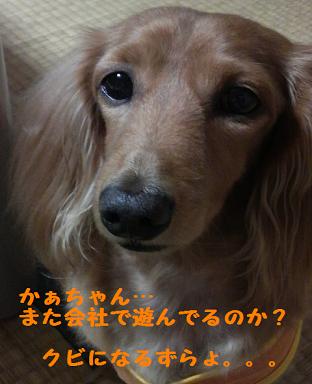 初仕事行ってきた。。。