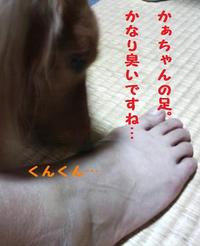妖怪あちゃる。 2009/10/22 21:19:25