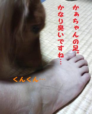 妖怪あちゃる。