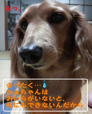 妖怪あちゃる。