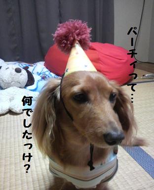 とぅちゃん誕生日その２