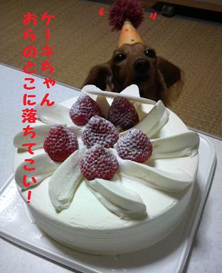とぅちゃん誕生日その２