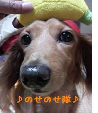 土曜日なのに… 2009/10/31 10:44:18