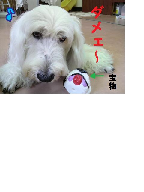 お風呂に入るずらぁ。。。