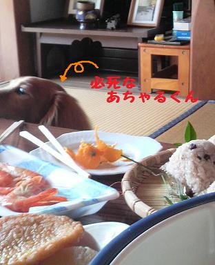 週末の祭り。